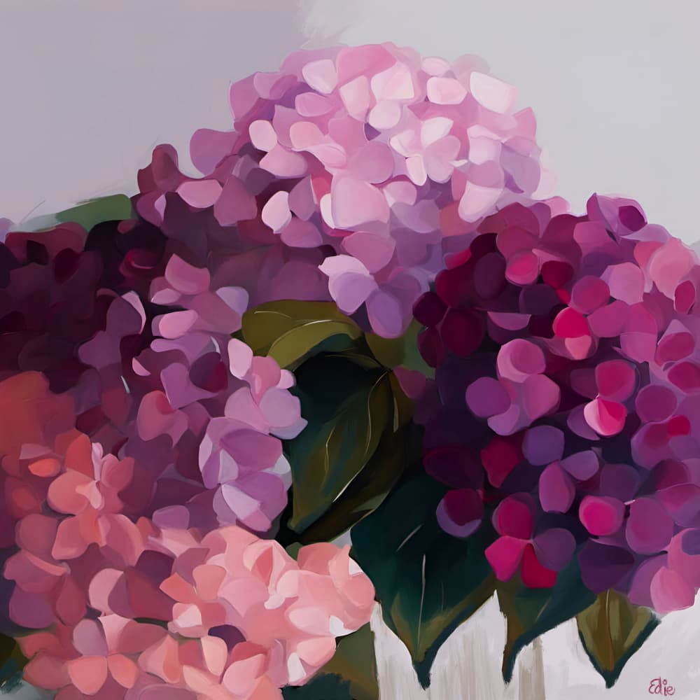 Vibrant Hydrangea Blooms by Edie — canvas wall art