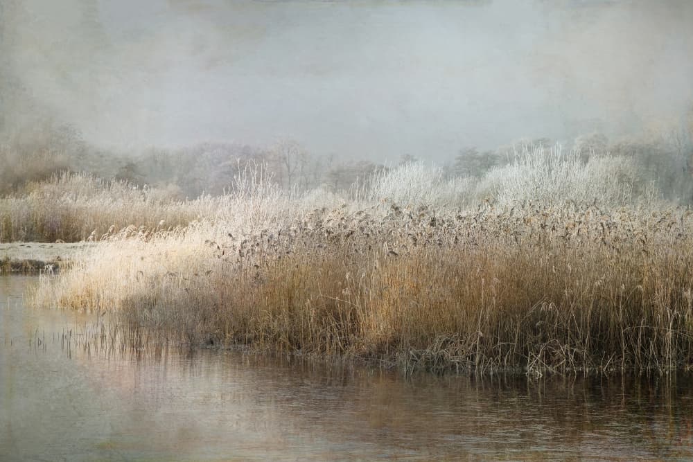 Wintermorning by Nel Talen — canvas wall art
