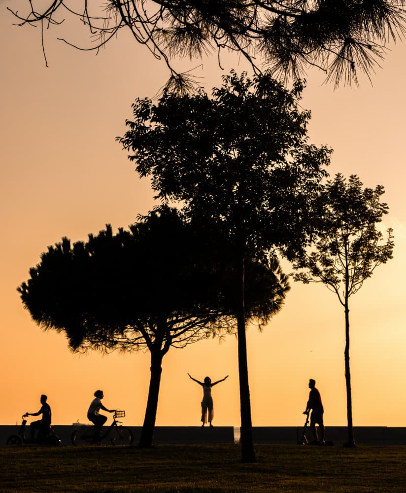 Golden Hour Park Life by Doruk Uysal — canvas wall art
