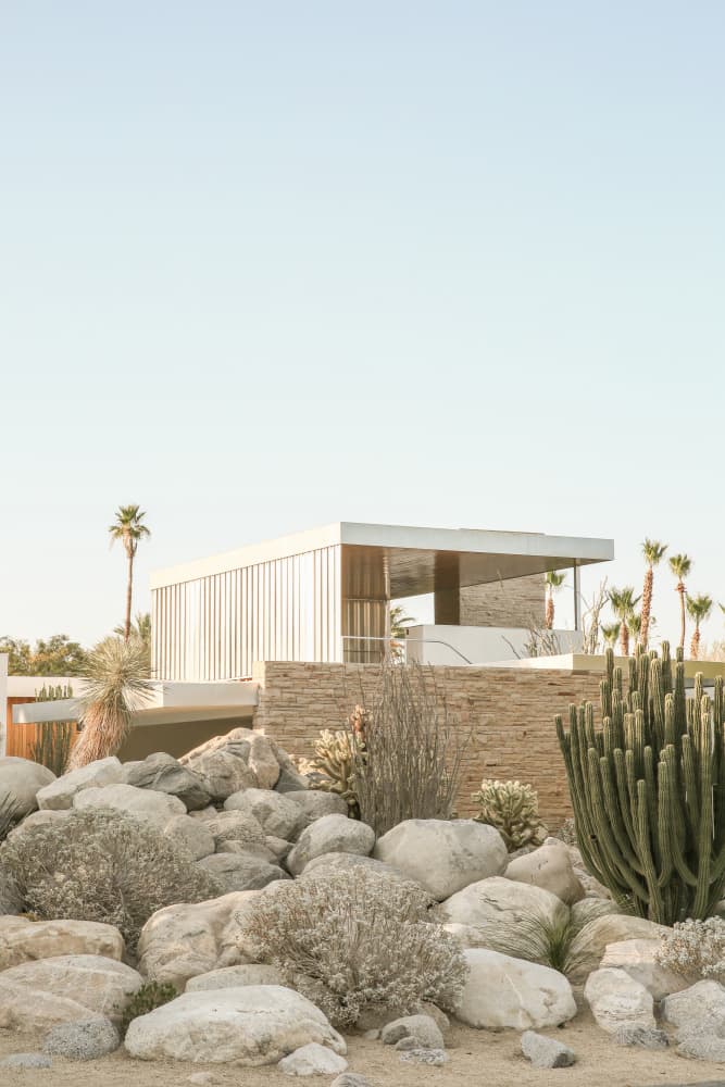 Desert Modern Oasis by Shot by Clint — canvas wall art