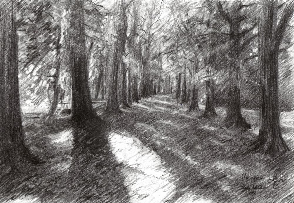 Sunlit Woodland Path by Corné Akkers — canvas wall art