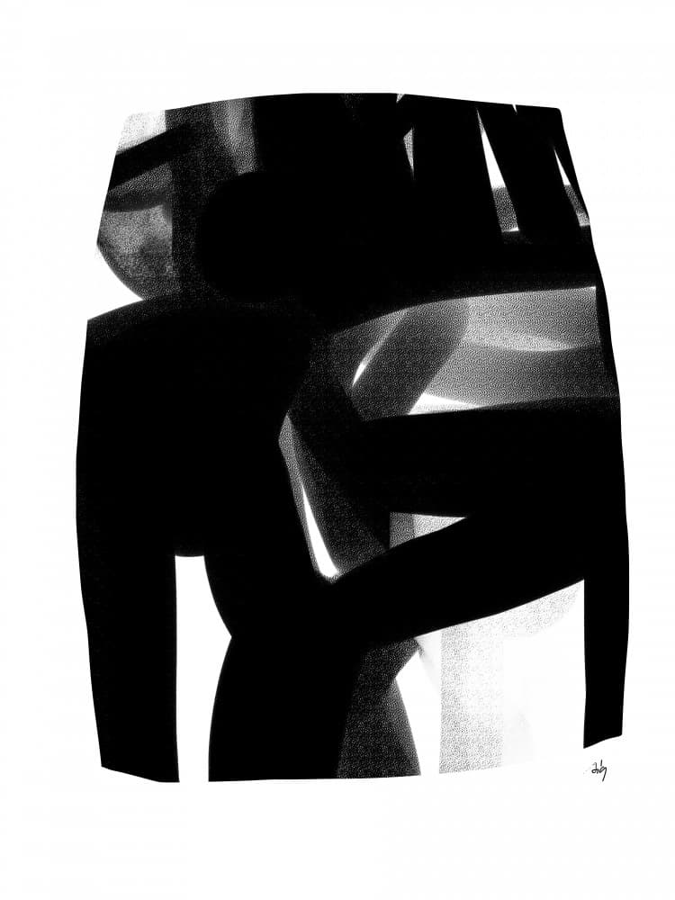 Abstract Fluid Forms by Simona Gocan — canvas wall art