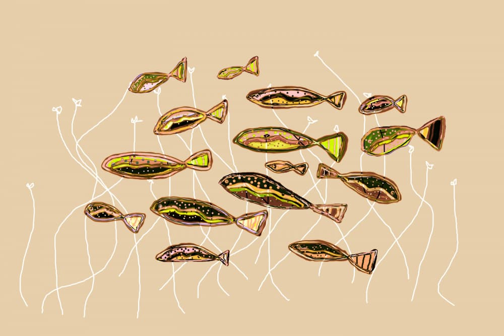 School Of Abstract Fish by Christina Sillen — canvas wall art