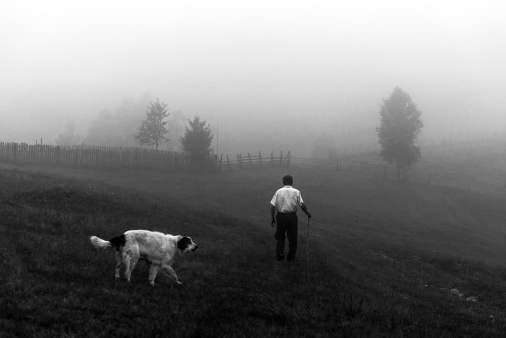 Man Dog Misty Morning by Sveduneac Dorin Lucian — canvas wall art