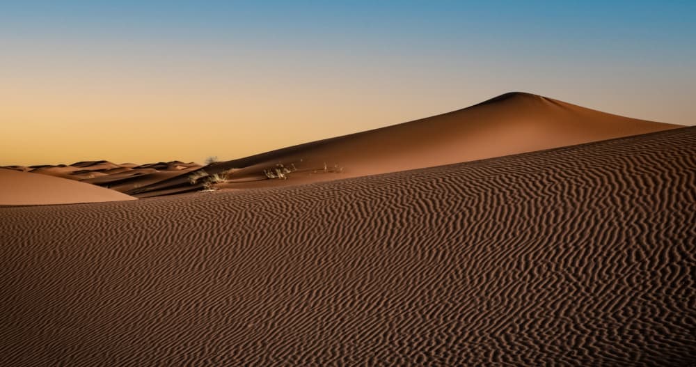 Golden Desert Dunes by Linda Wride — canvas wall art