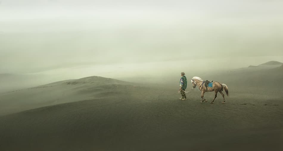 Misty Desert Journey by Sebastian Kisworo — canvas wall art