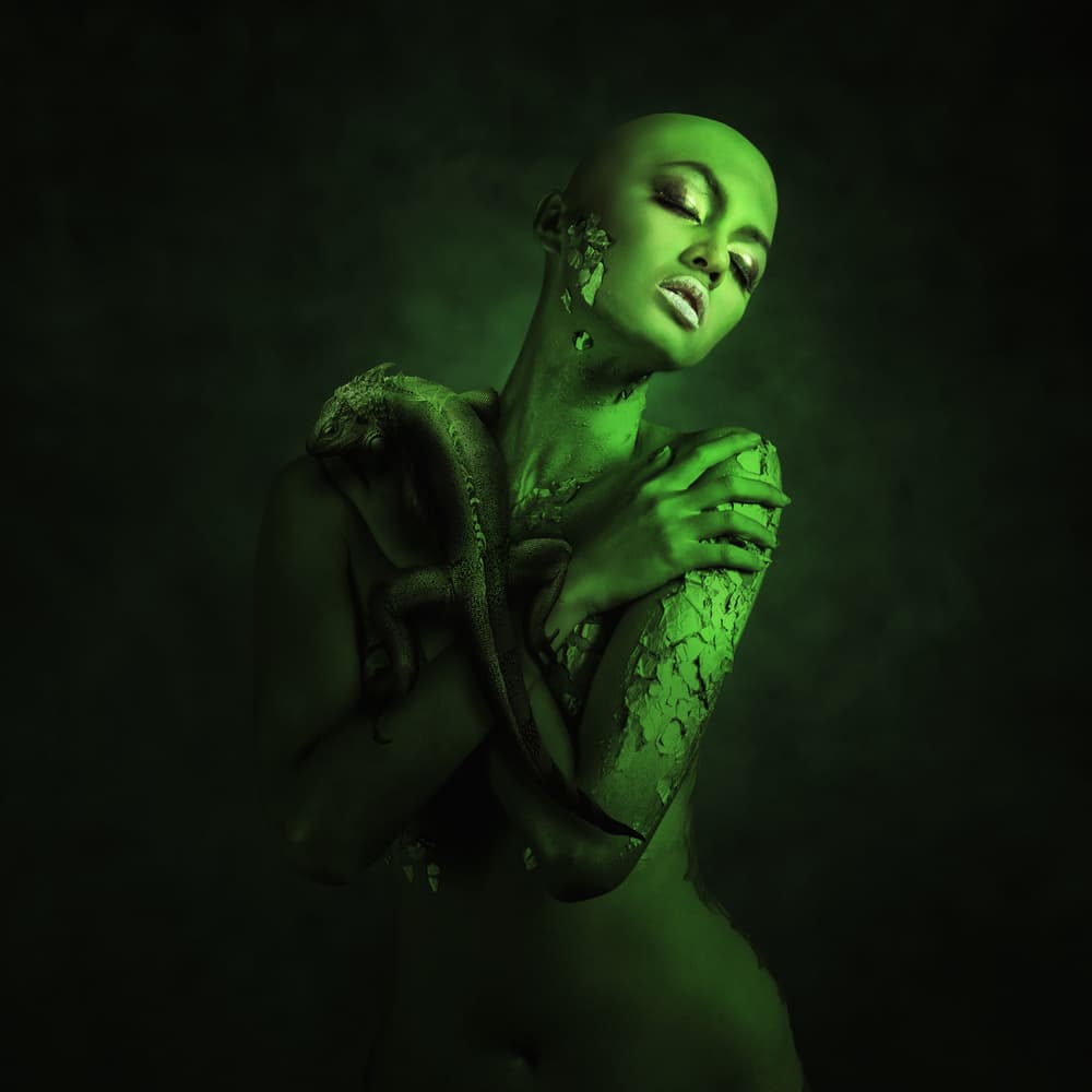 Emerald Lizard Woman by hardibudi — canvas wall art