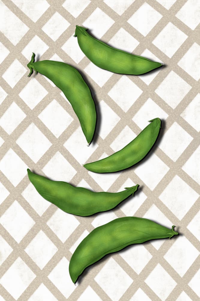 Fresh Green Pea Pods by EMELIEmaria — canvas wall art