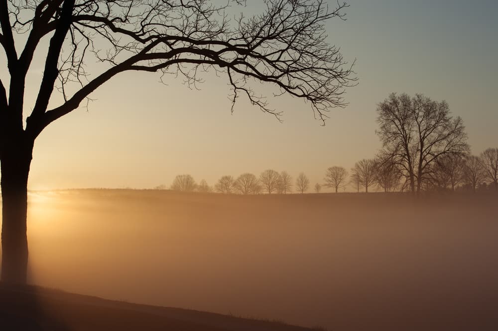 Misty Morning Sunrise by 李从军 / Austin Li — canvas wall art