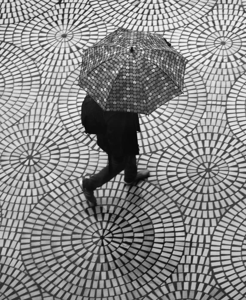 Walking on Circles by Robin Wechsler — canvas wall art