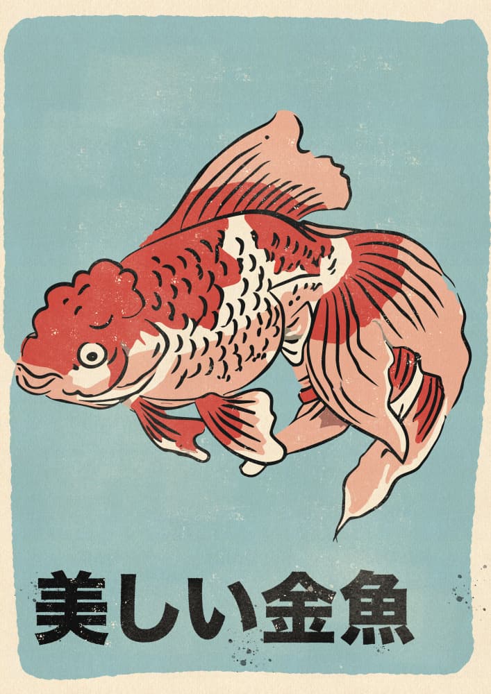 Beautiful Japanese Goldfish by Nicholas — canvas wall art