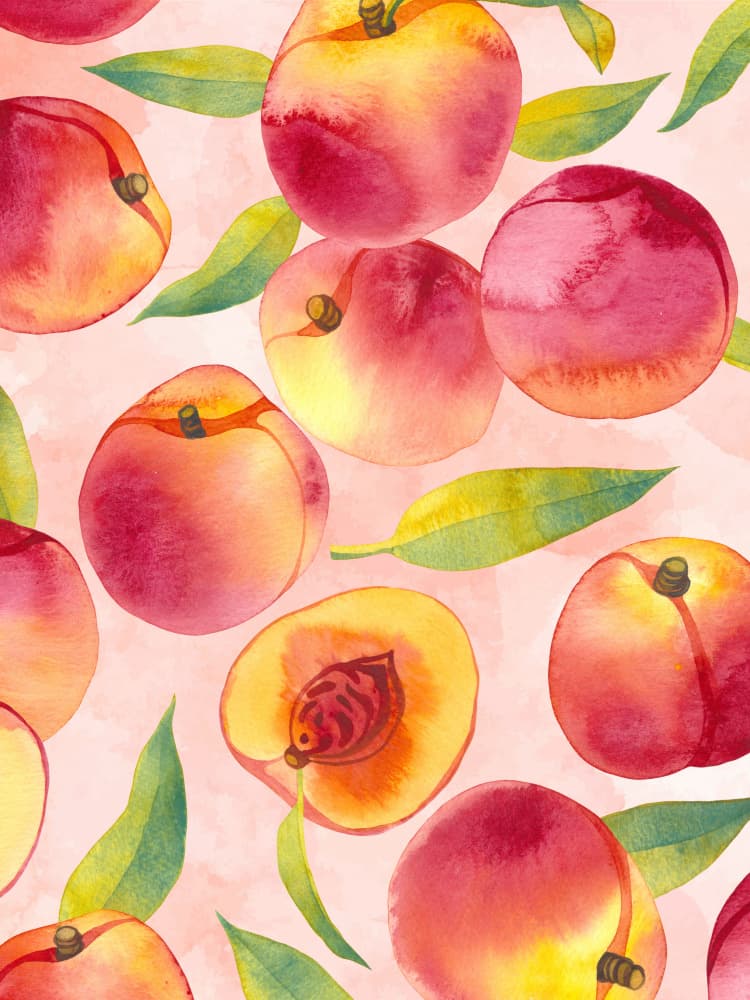 Pink Watercolor Peaches by Mathieu jeuf — canvas wall art