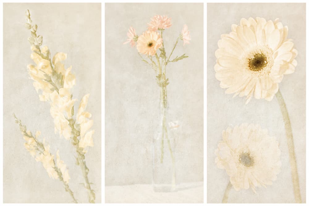 Faded Floral Triptych by Gustav Davidsson — canvas wall art