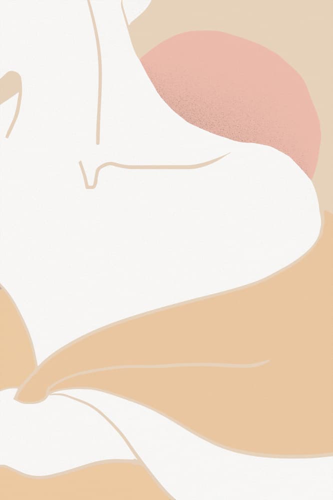 Soft Feminine Lines by Pictufy Studio II — canvas wall art