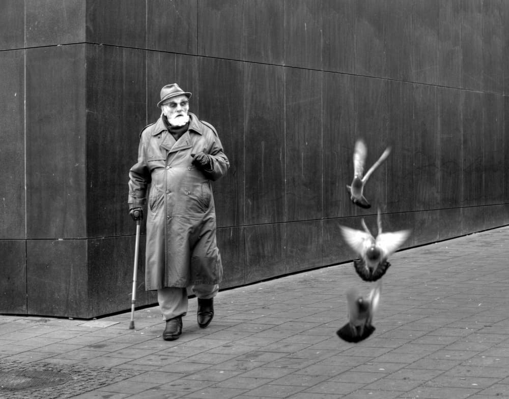 Urban Stroll With Pigeons by Anna Niemiec — canvas wall art
