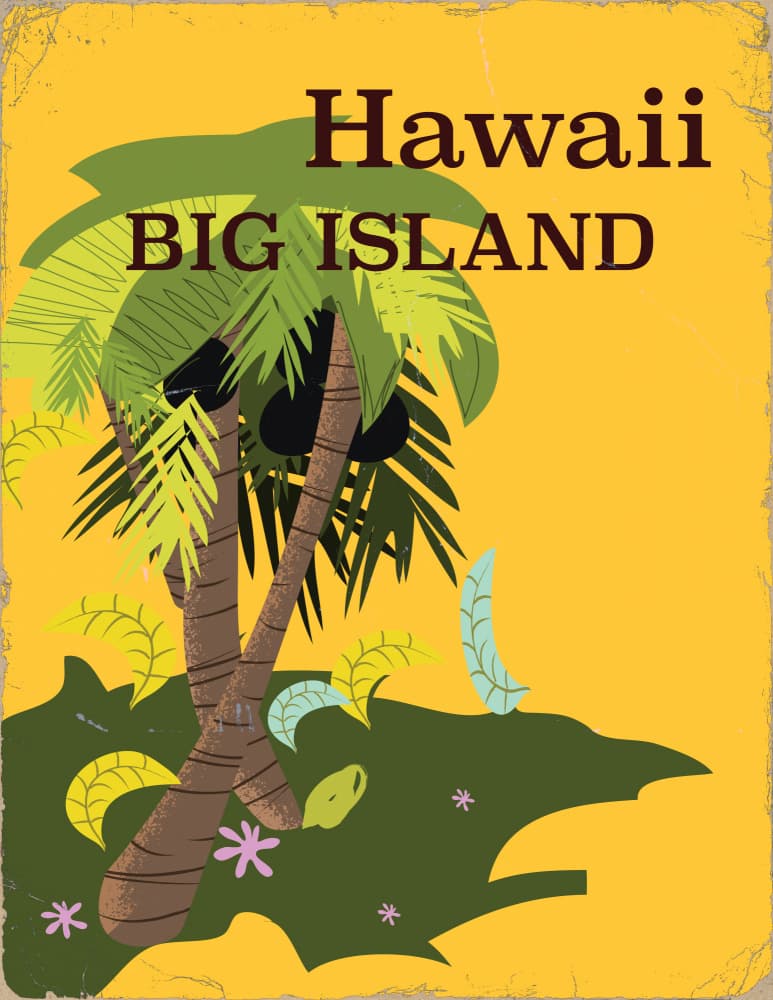 Hawaii Big Island Palms by Nicholas — canvas wall art