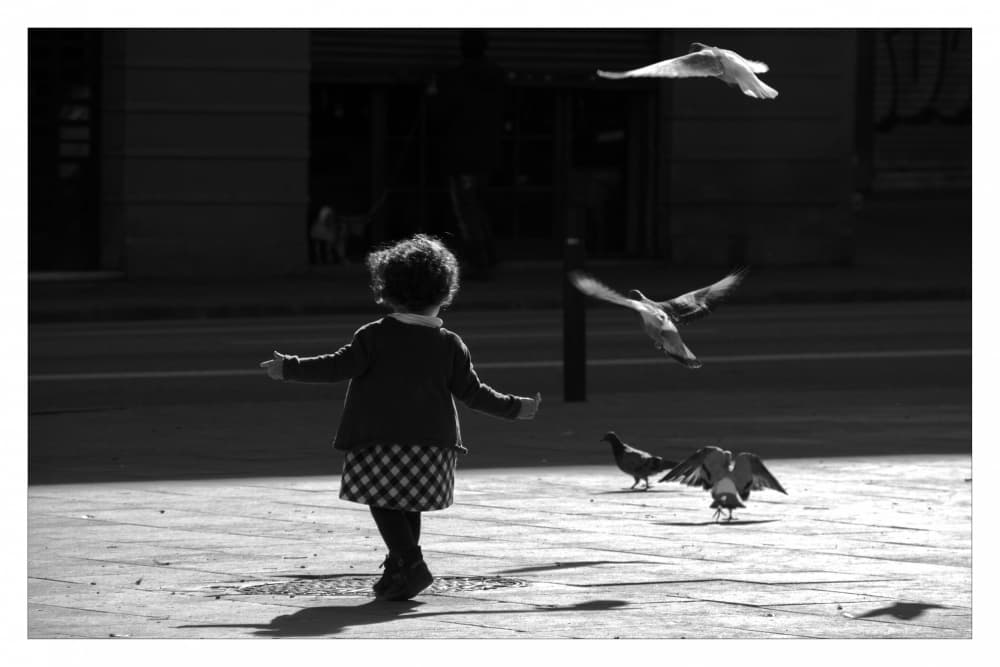 Child Among Pigeons by Stefan Greitzke — canvas wall art