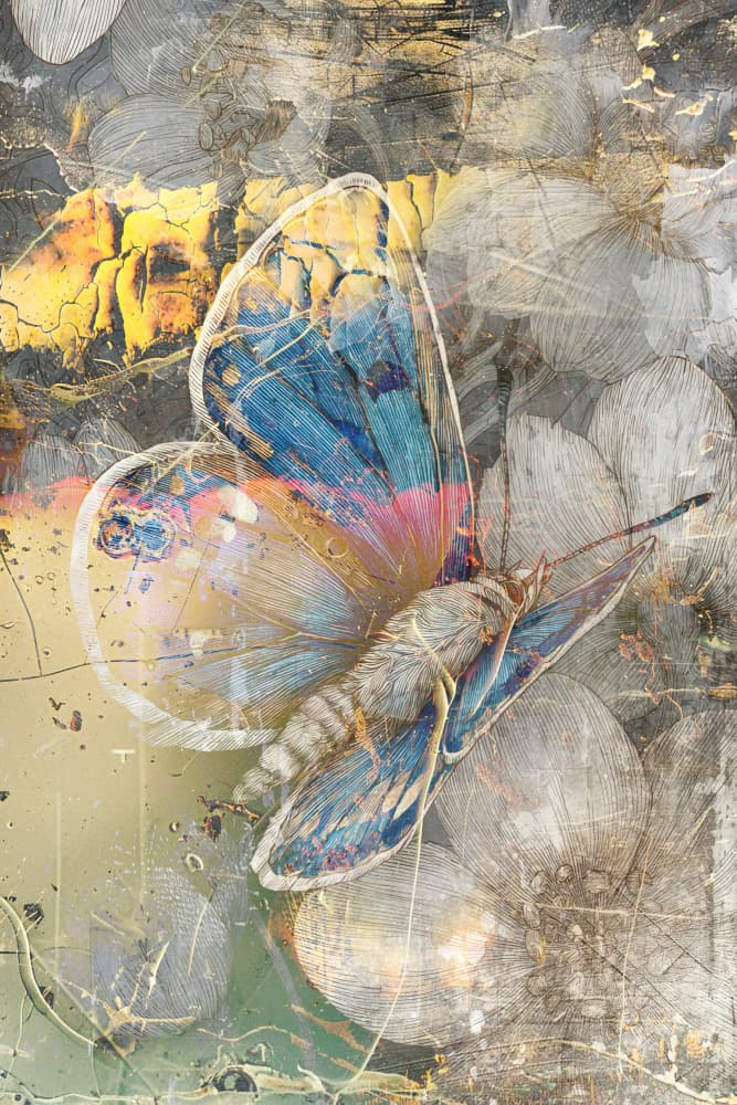 Vibrant Butterfly Dream by Rafal Kulik — canvas wall art