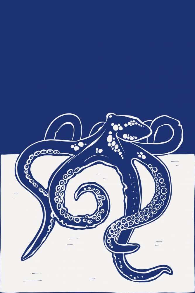 Deep Blue Octopus by Marianne Bassil — canvas wall art