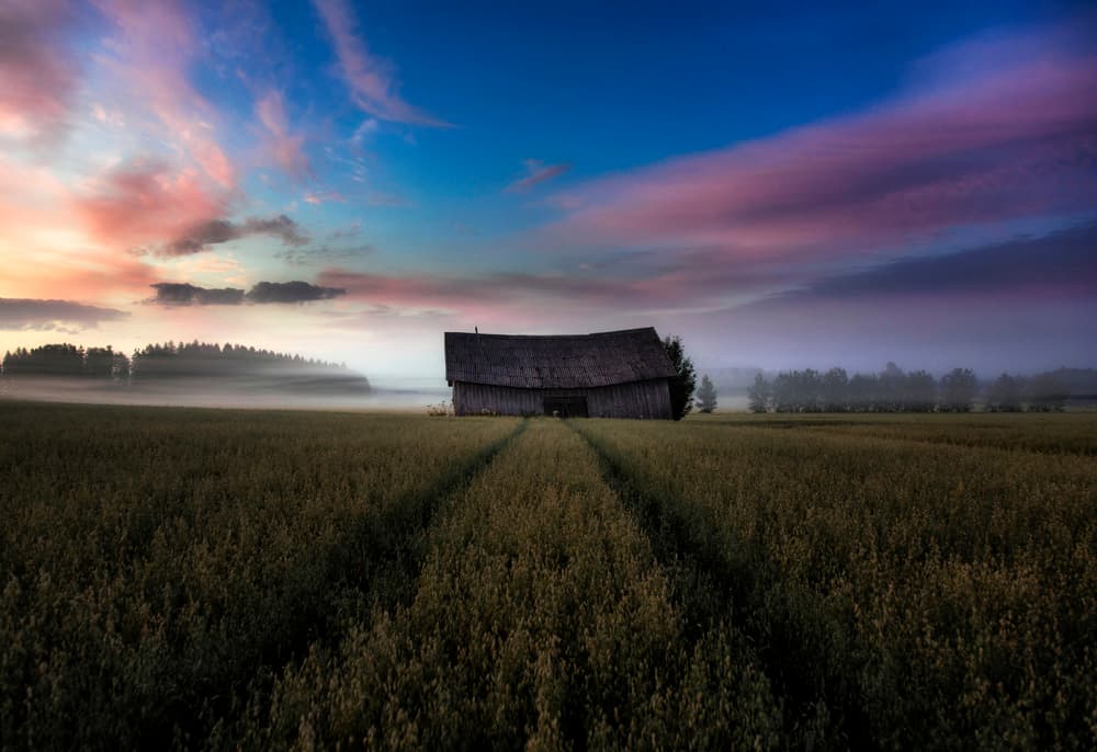 Misty Morning Barn by Mika Suutari — canvas wall art