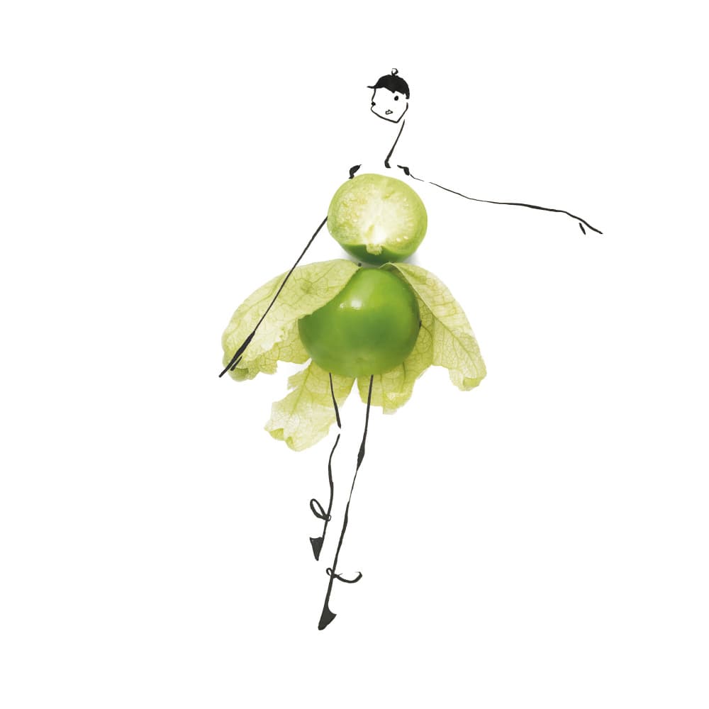 Tomatillo Ballerina by Gretchen Roehrs — canvas wall art