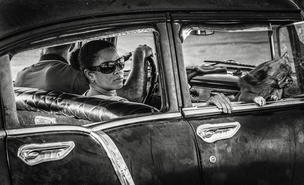 Classic Car Driver and Dog by Andy Bauer — canvas wall art