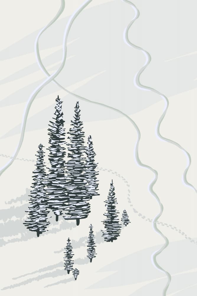 Snowy Forest Pines by Alexandra Weise — canvas wall art
