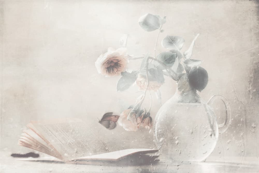 Soft Roses Open Book by Delphine Devos — canvas wall art