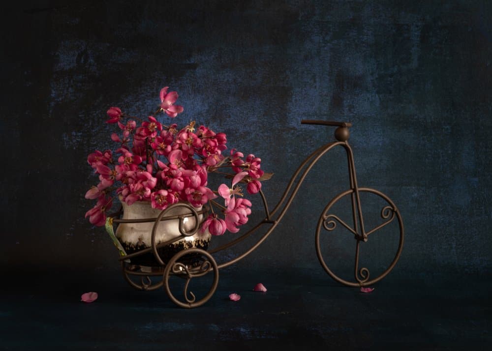 Pink Bicycle Flowers by Qing Li — canvas wall art
