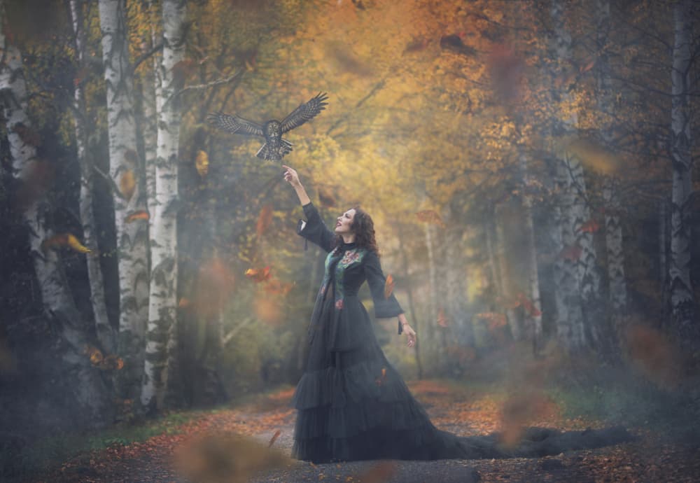 Magical Autumn Owl by Tanya Markova — canvas wall art