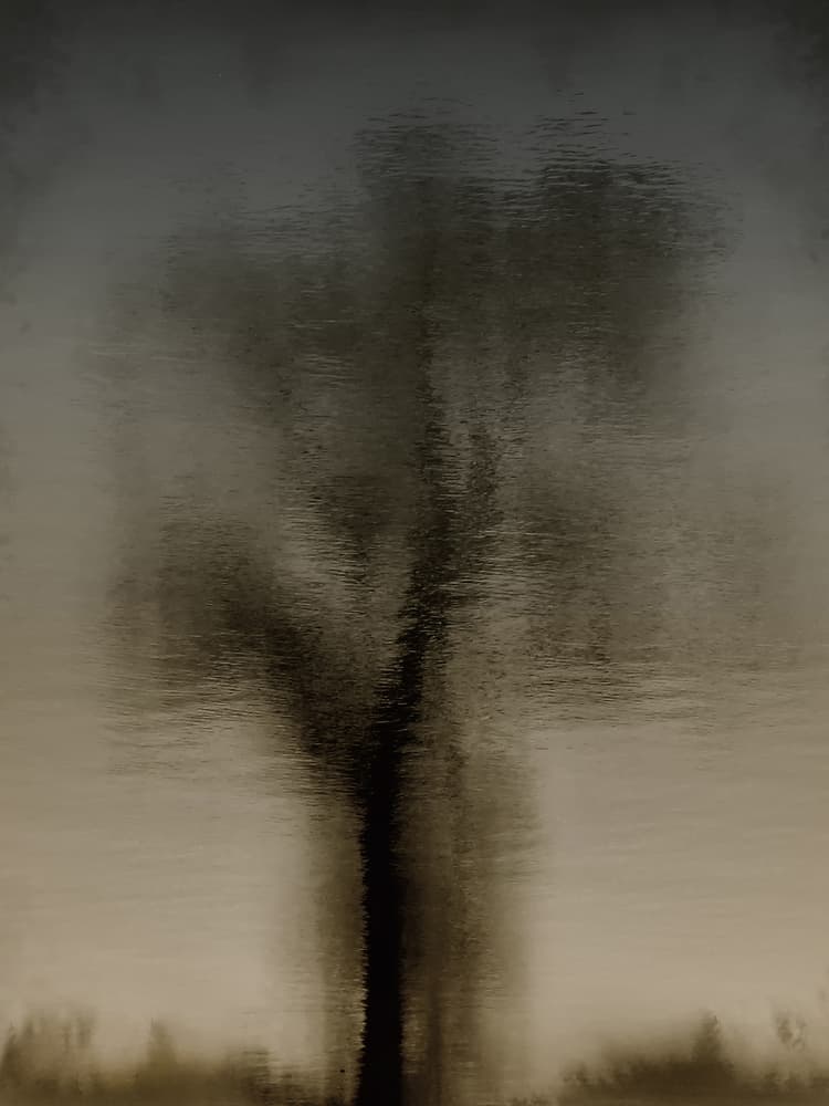 Rippled Tree Reflection by Yvette Depaepe — canvas wall art