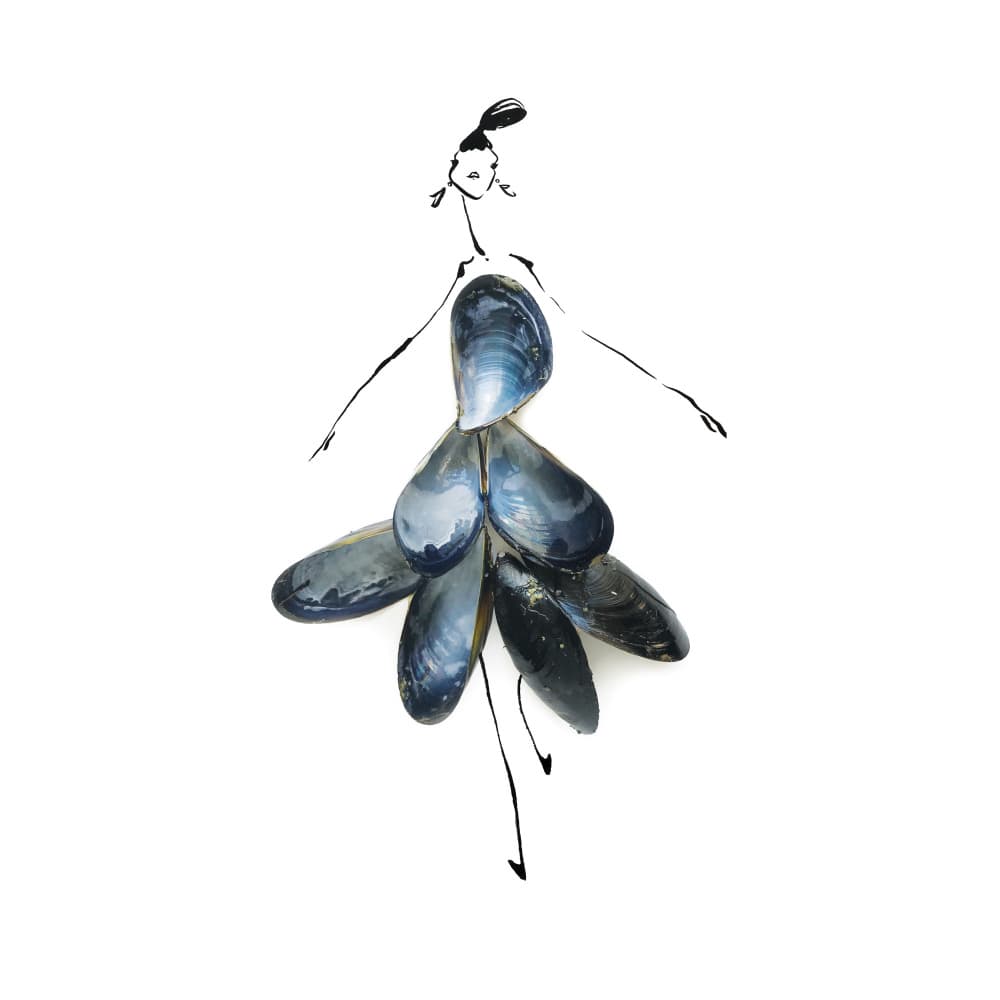 Mussel Shell Dress by Gretchen Roehrs — canvas wall art
