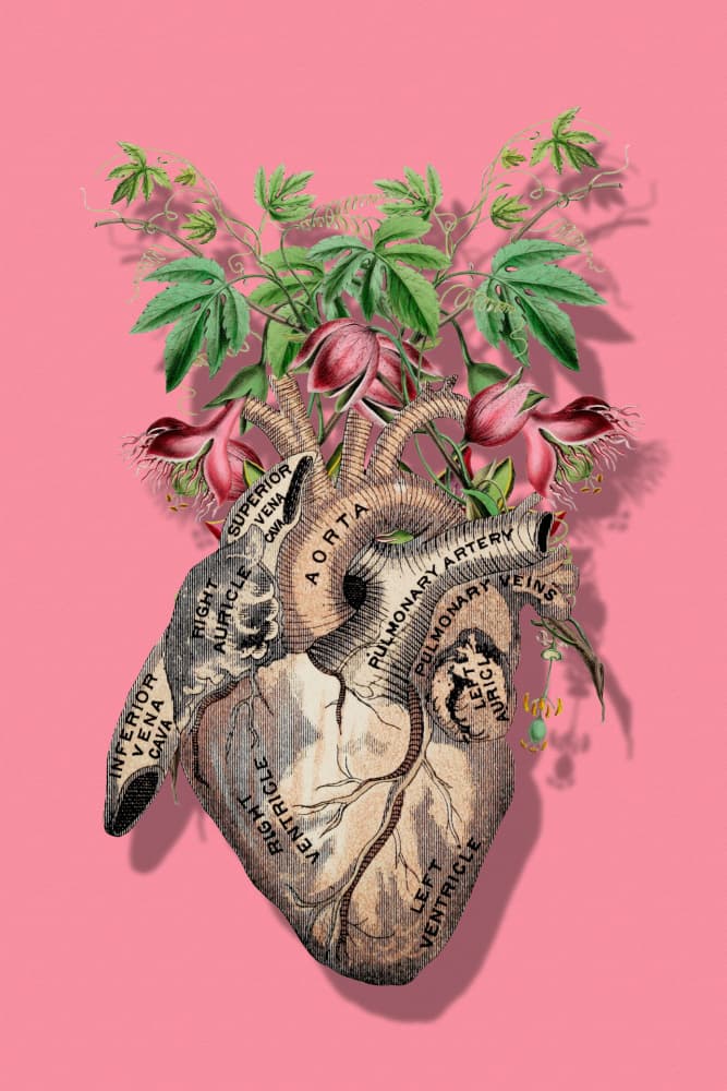 Botanical Human Heart by Marja van den Hurk — canvas wall art