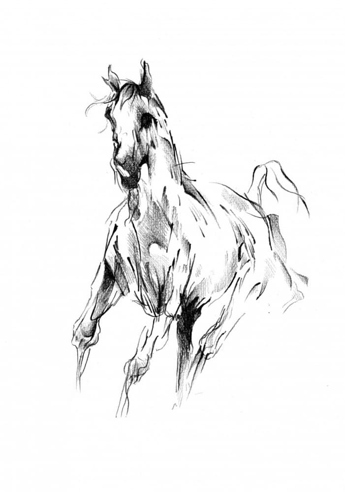 Galloping Horse Sketch by Kulik — canvas wall art