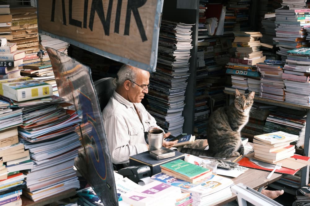 Book Seller Cat Companion by Ali Ayer — canvas wall art