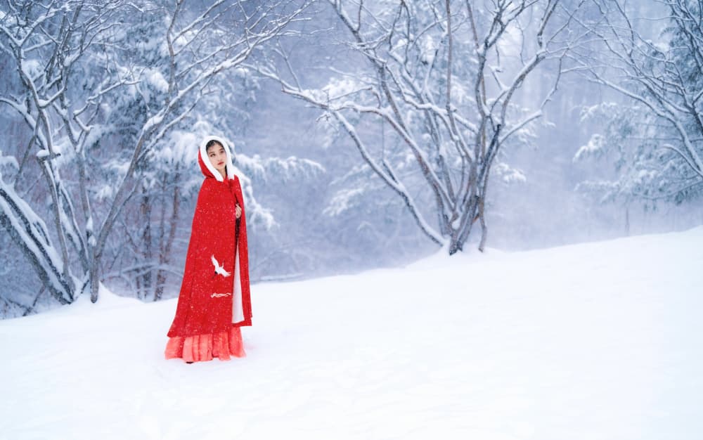 Red Cape Winter Forest by Catherine Wang — canvas wall art