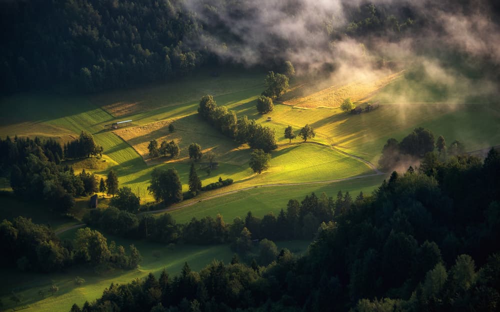 Sunlit Misty Valley by Ales Krivec — canvas wall art