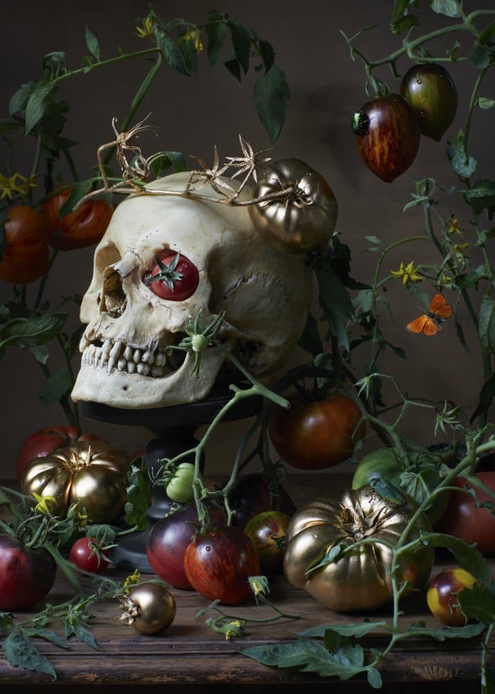 Golden Skull Harvest by Alena — canvas wall art