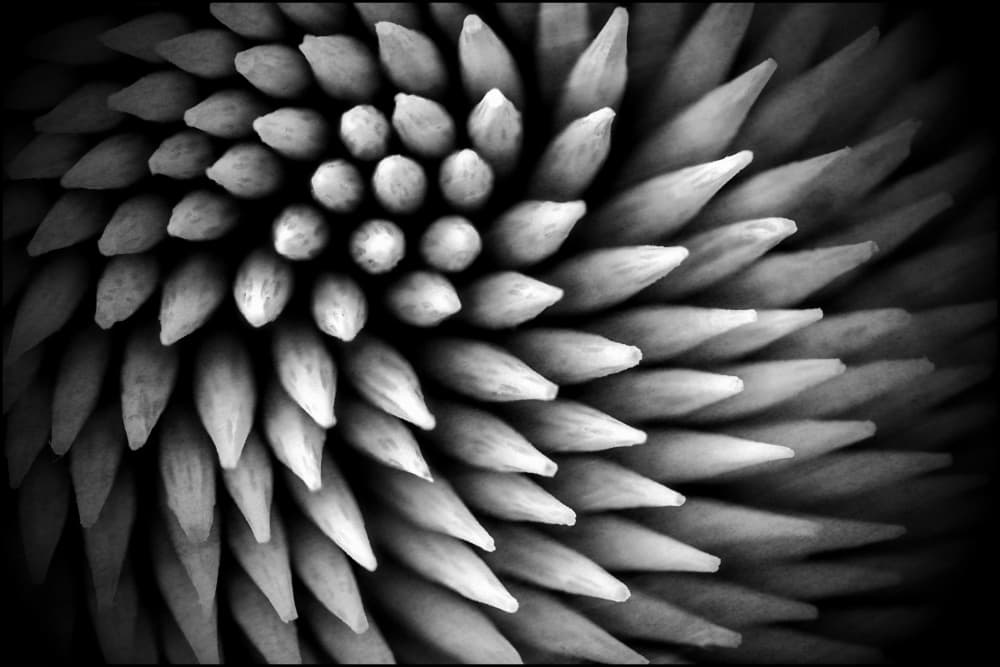 Sharp Spiral Texture by Cicek Kiral — canvas wall art