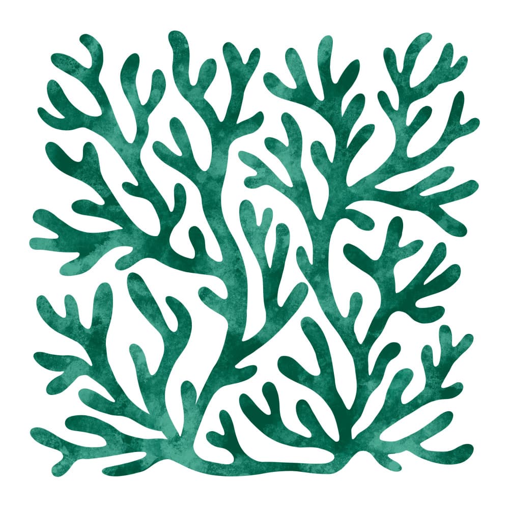 Organic Green Coral by EMELIEmaria — canvas wall art