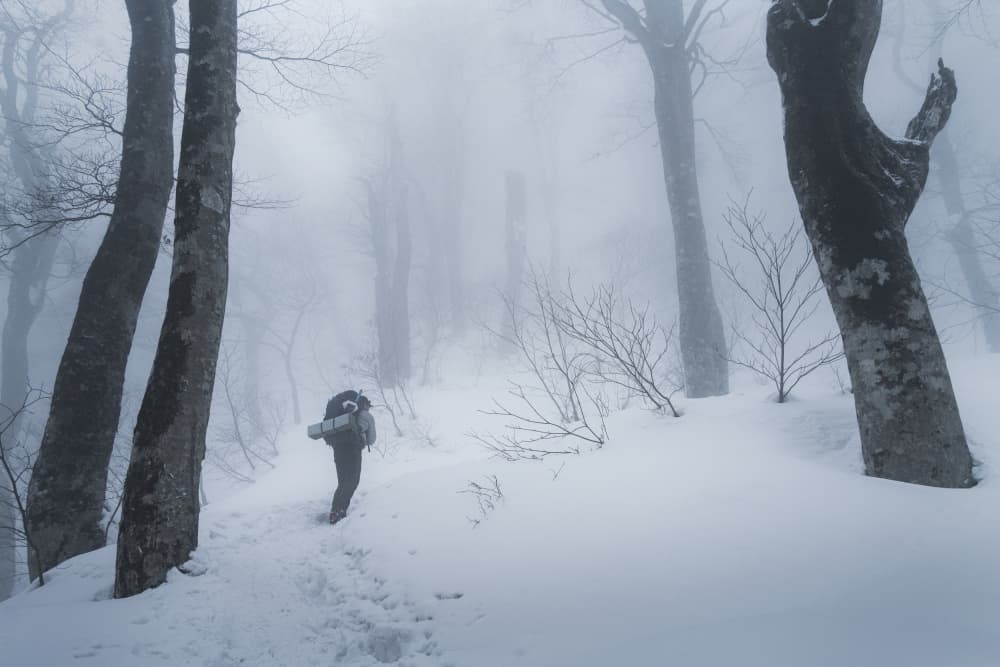 Misty Winter Path by Vu van quan — canvas wall art