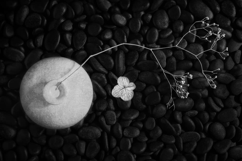 Zen Stone and Botanicals by Stephen Clough — canvas wall art