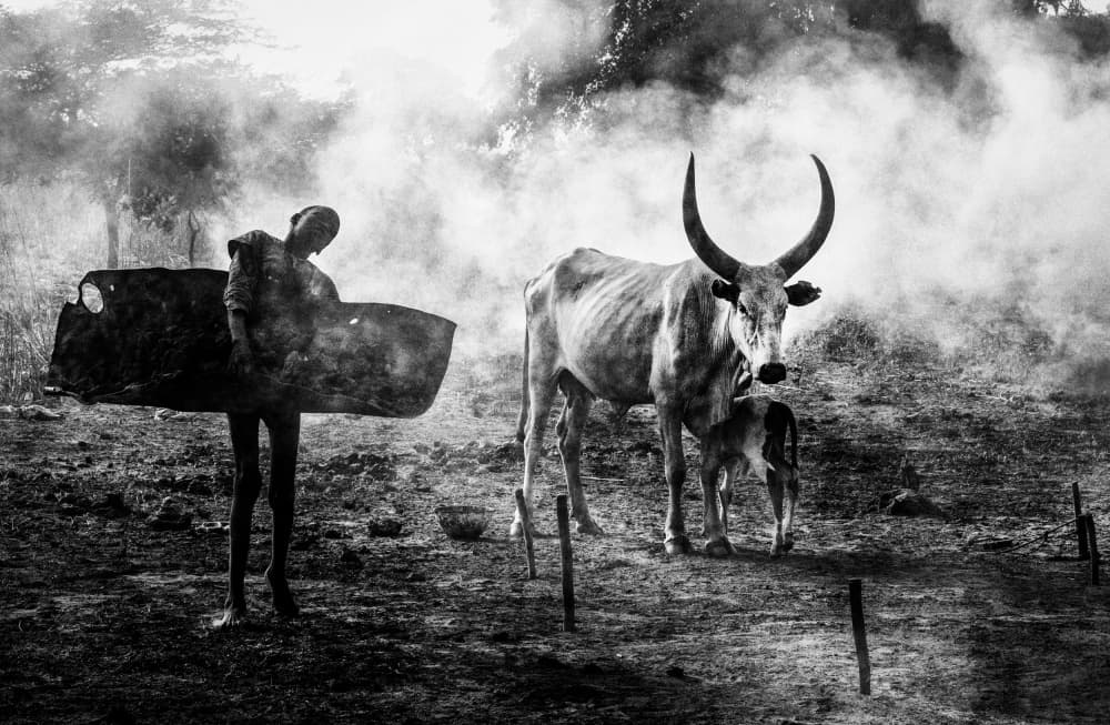 African Rural Life by Joxe Inazio Kuesta Garmendia — canvas wall art