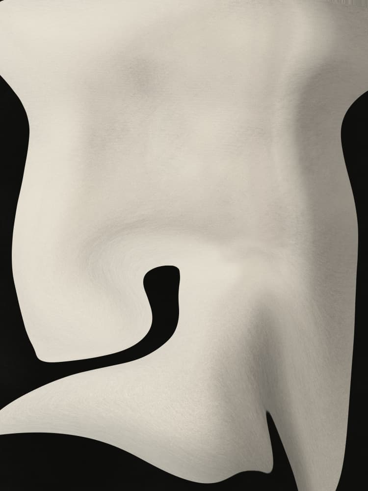 Beige Fluid Curves by Little Dean — canvas wall art