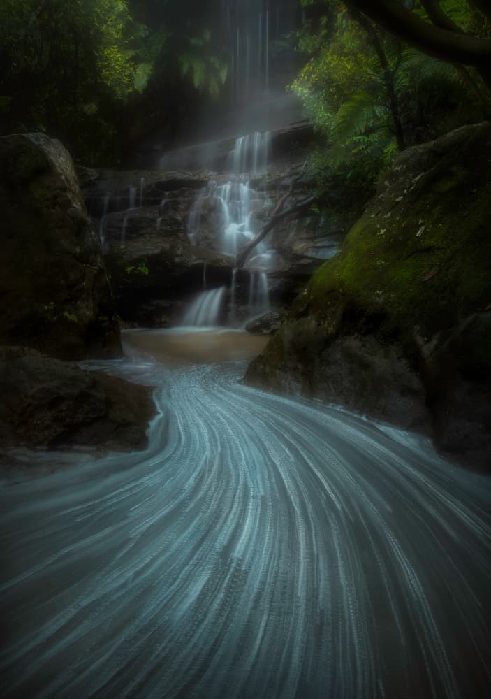 Mystic Forest Stream by Yan Zhang — canvas wall art