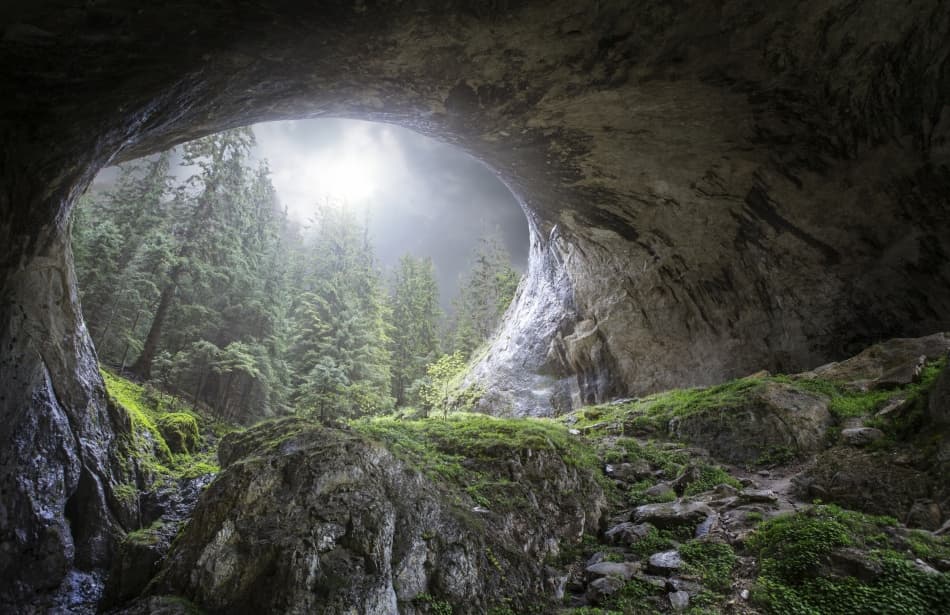 Misty Forest Cave Arch