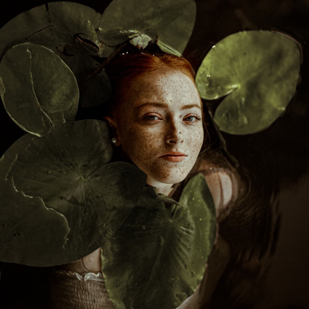 Redhead Among Lily Pads by Barbora Biňovcová — canvas wall art