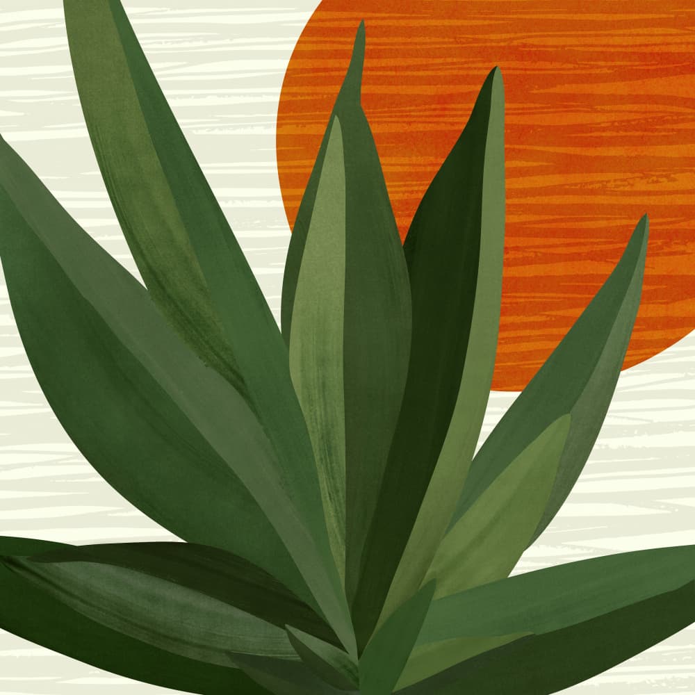 Desert Soul by Kristian Gallagher — canvas wall art