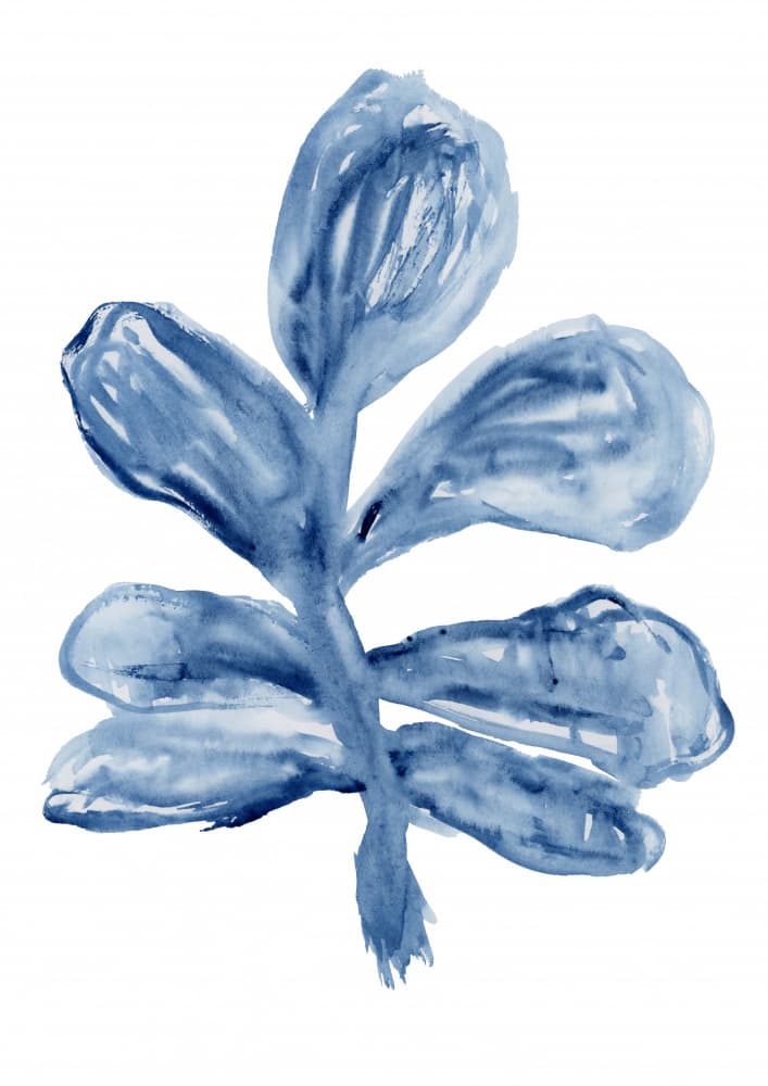 Indigo Watercolor Botanical by cartissi — canvas wall art