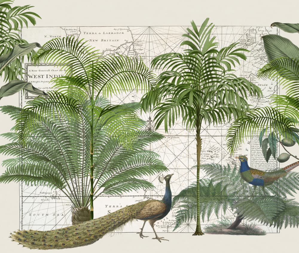 Tropical Map Wildlife by Andrea Haase — canvas wall art